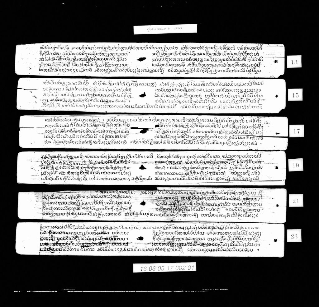 ປູ່ສອນຫລານ (ກາບ)