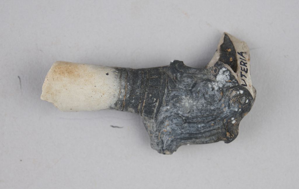 ກອກຢາສູບ