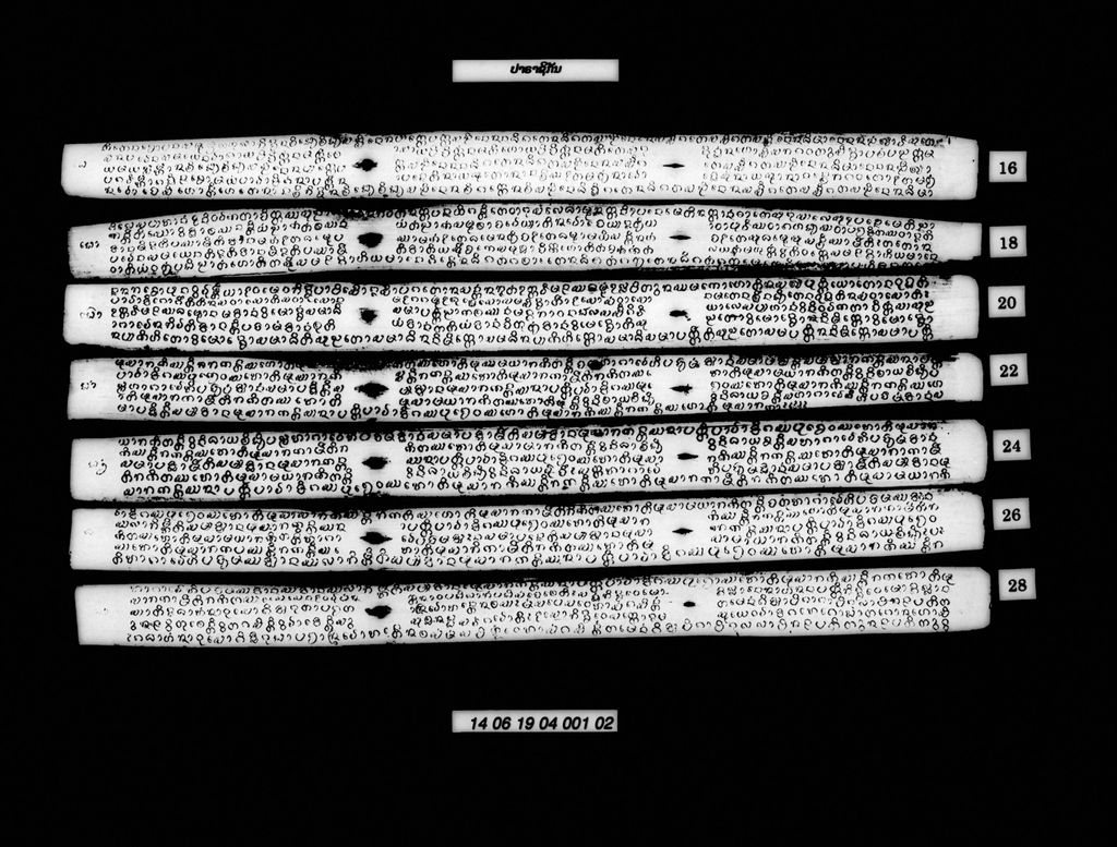 ປາຣາຊິກັນ (ປາລີ)