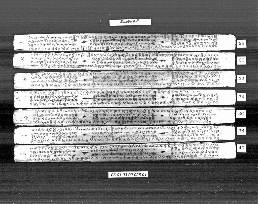 ທັມມະບົທ ມັດຕົ້ນ