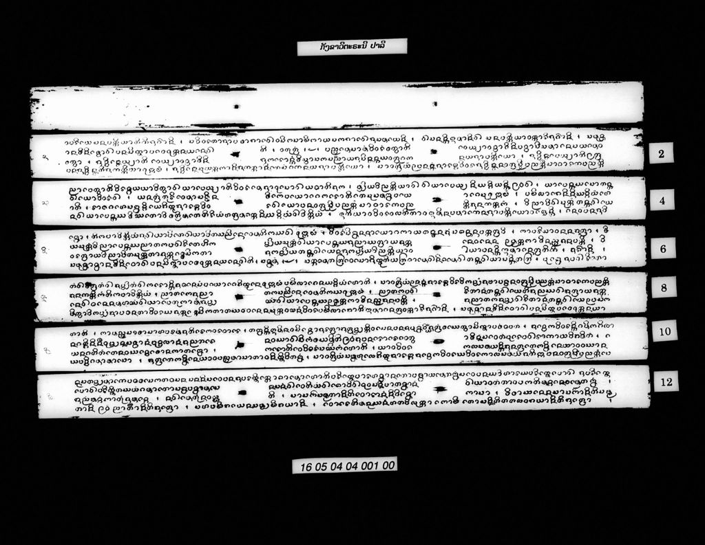 ກັງຂາວິຕະຣະນີ (ປາລີ)