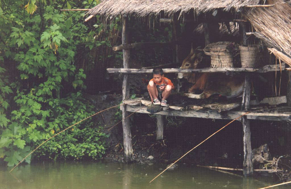 ເດັກນ້ອຍຕຶກເບັດຂ້າງໂຕງົວ ເມືອງຊຳເໜືອ ແຂວງຫົວພັນ
