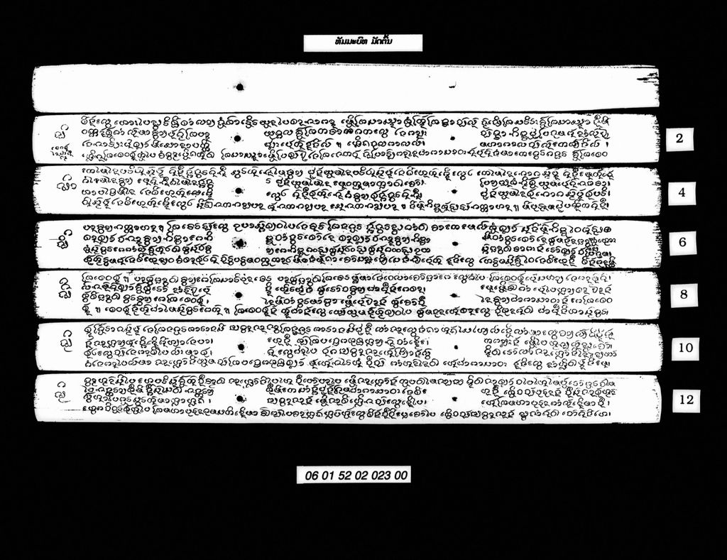 ທັມມະບົທ (ມັດຕົ້ນ)