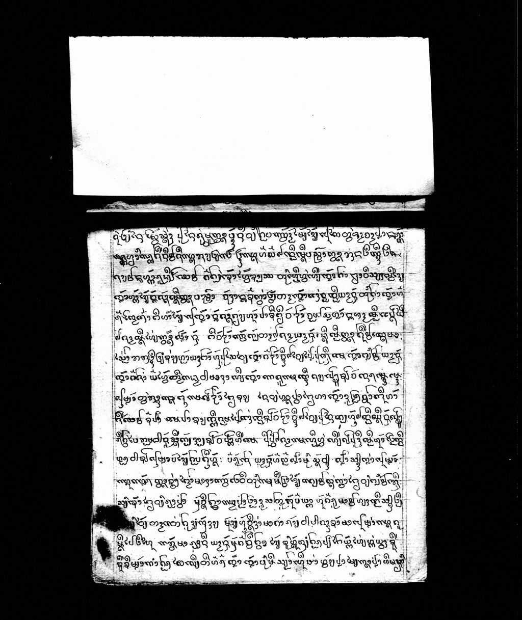 ທັມຂັບເຈົ້າຫໍລໍລີ້ນກ່ານ