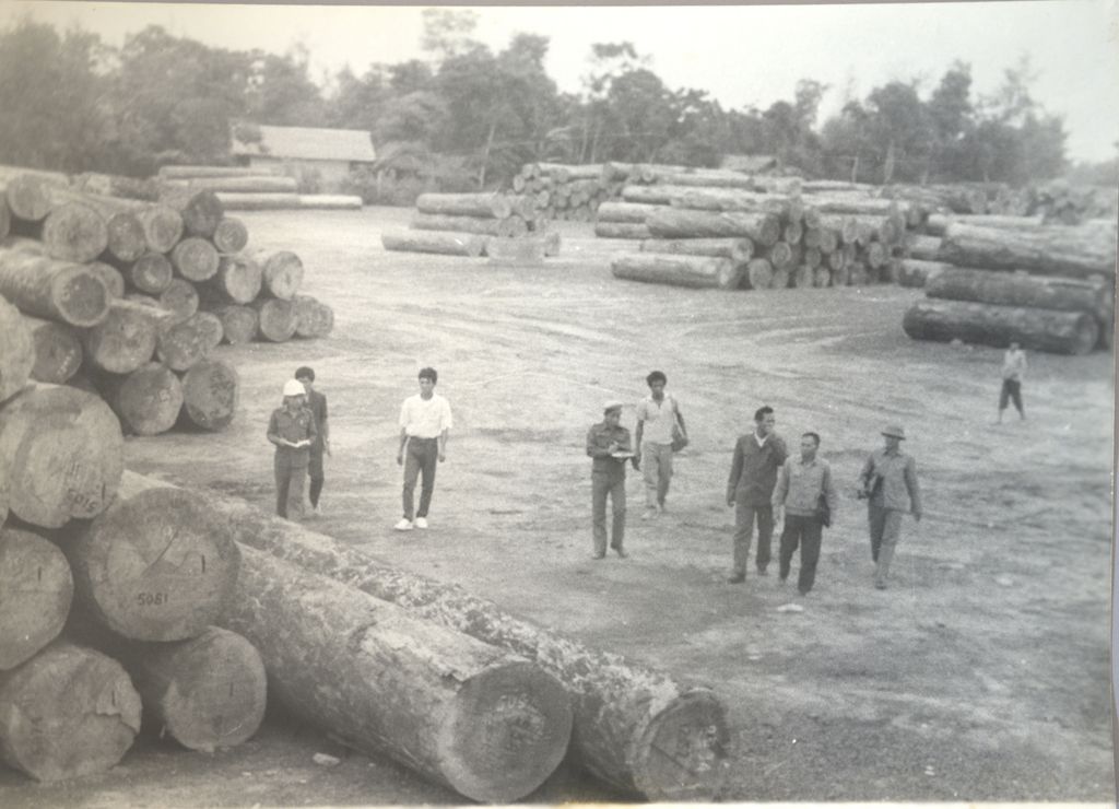 ອຸດ​ສາ​ຫະ​ກຳ​ໄມ້​ທ່ອນ