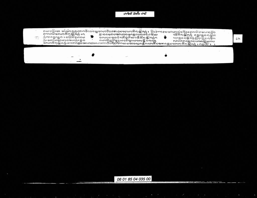 ປາຈິຕຕີ ມັດຕົ້ນ (ປາລີ)