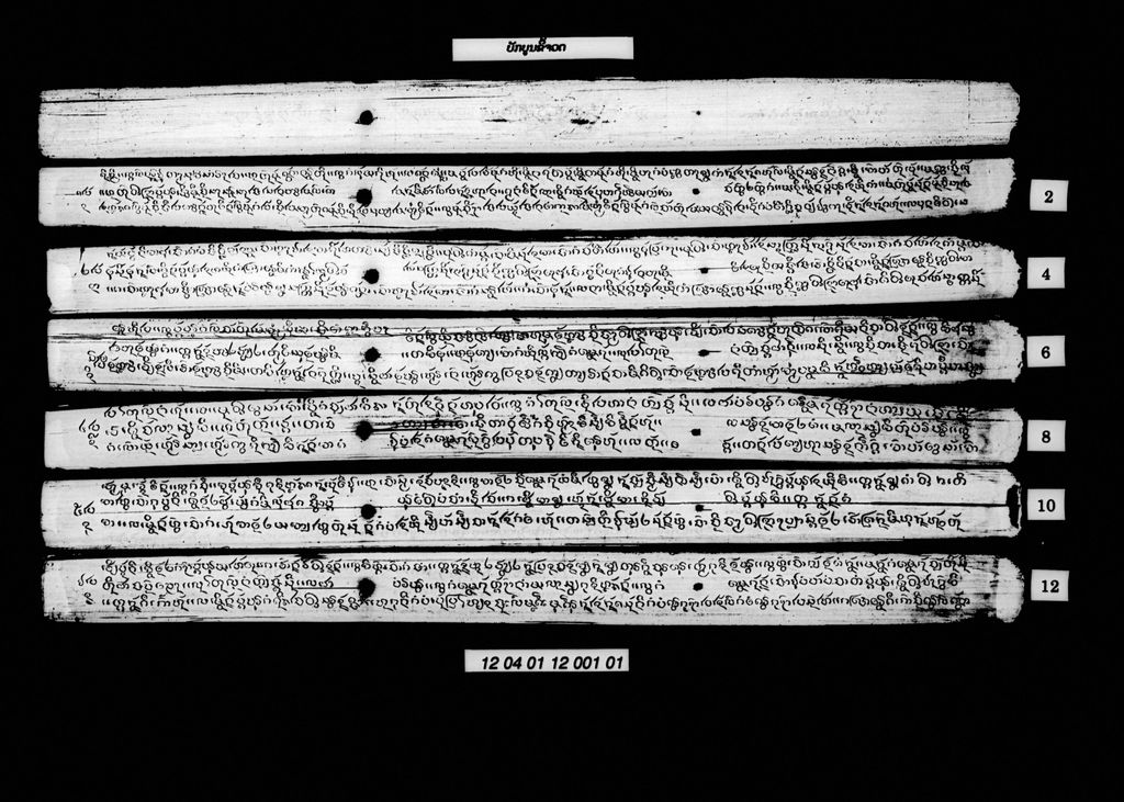 ບັກບູນຂີ້ຈວດ