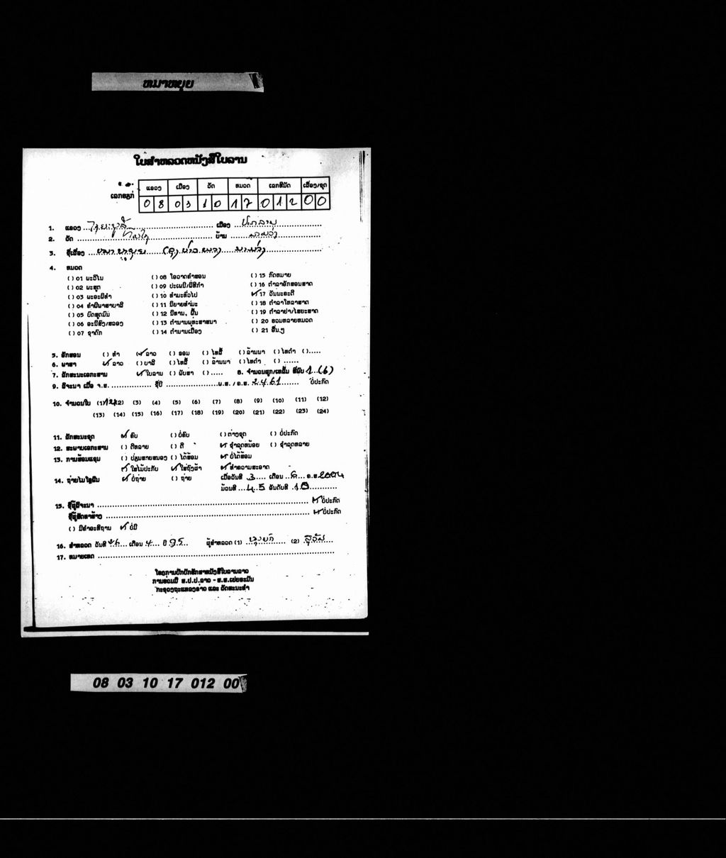 ໝາຫຍຸຍ (ລຸງບ່າວພວງ ນາງມ່ວງ)