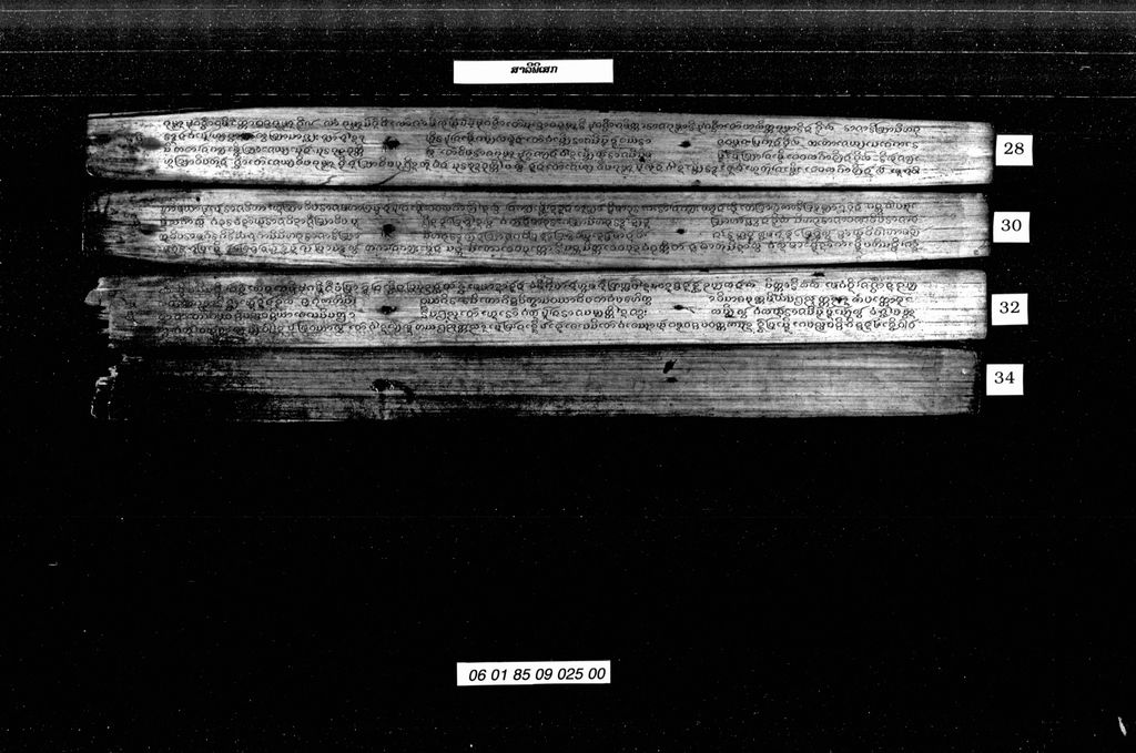 ສາລີພິເສກ