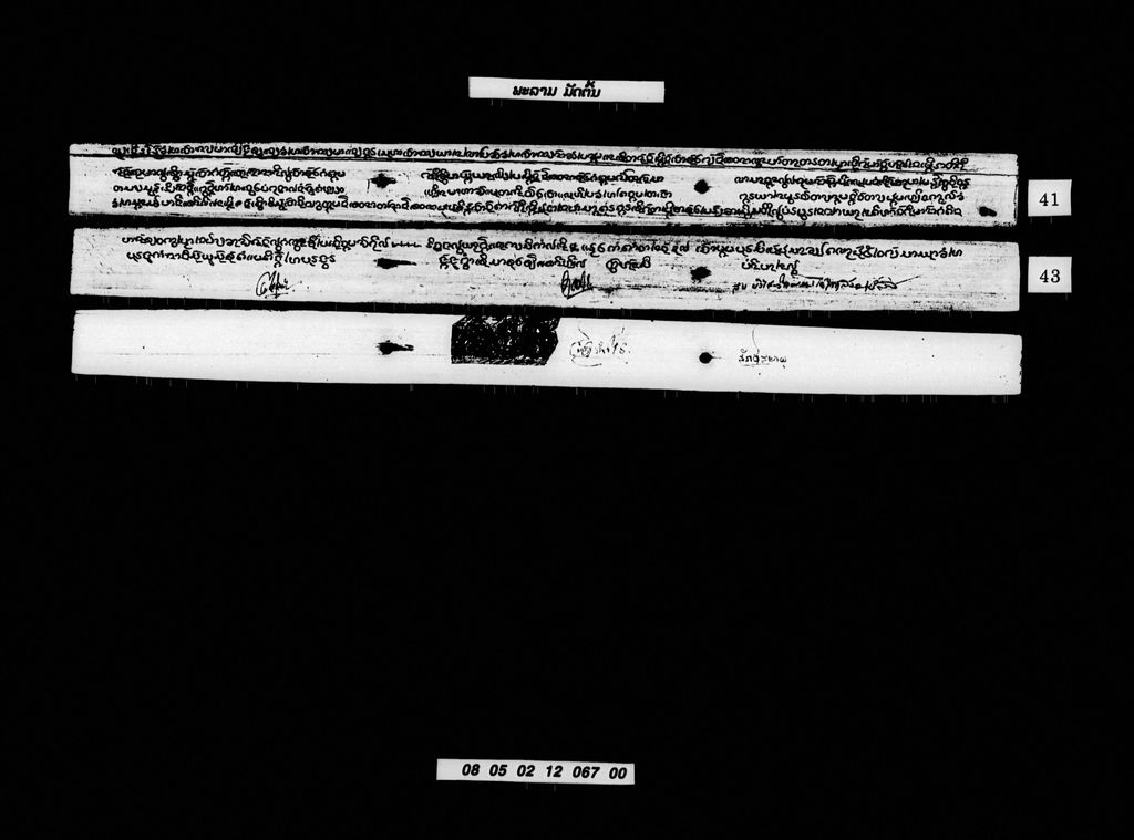 ພະລາມ (ມັດຕົ້ນ)