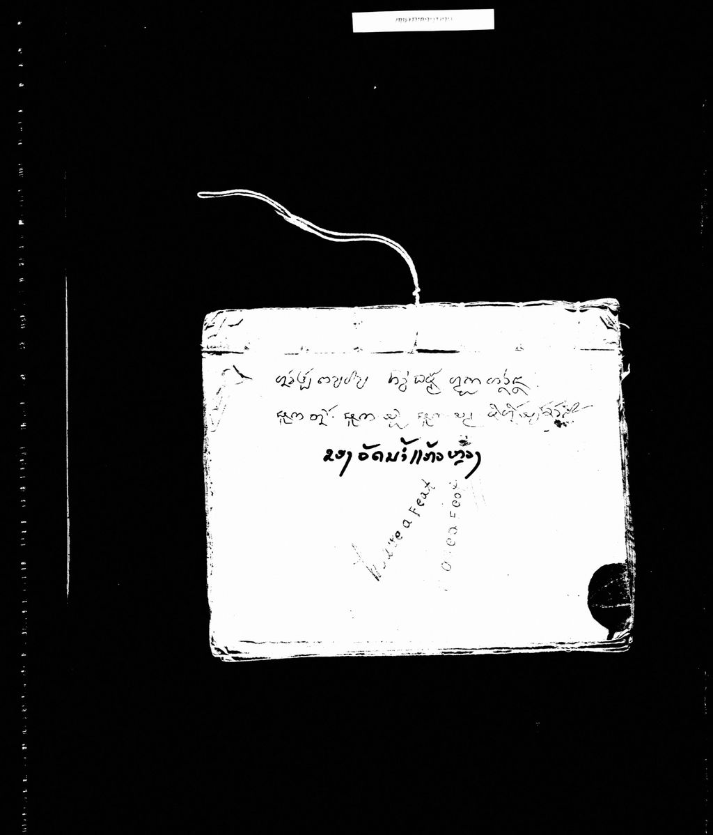 ໝອກຫາງນາງ