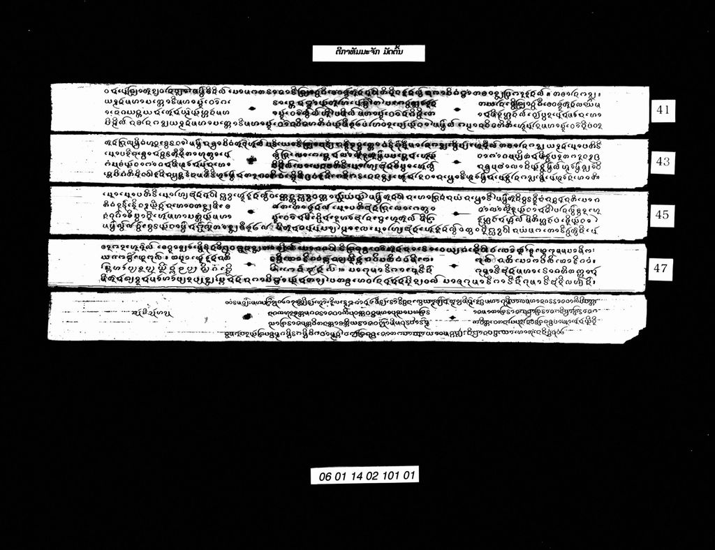 ຕີກາທັມມະຈັກ ມັດຕົ້ນ