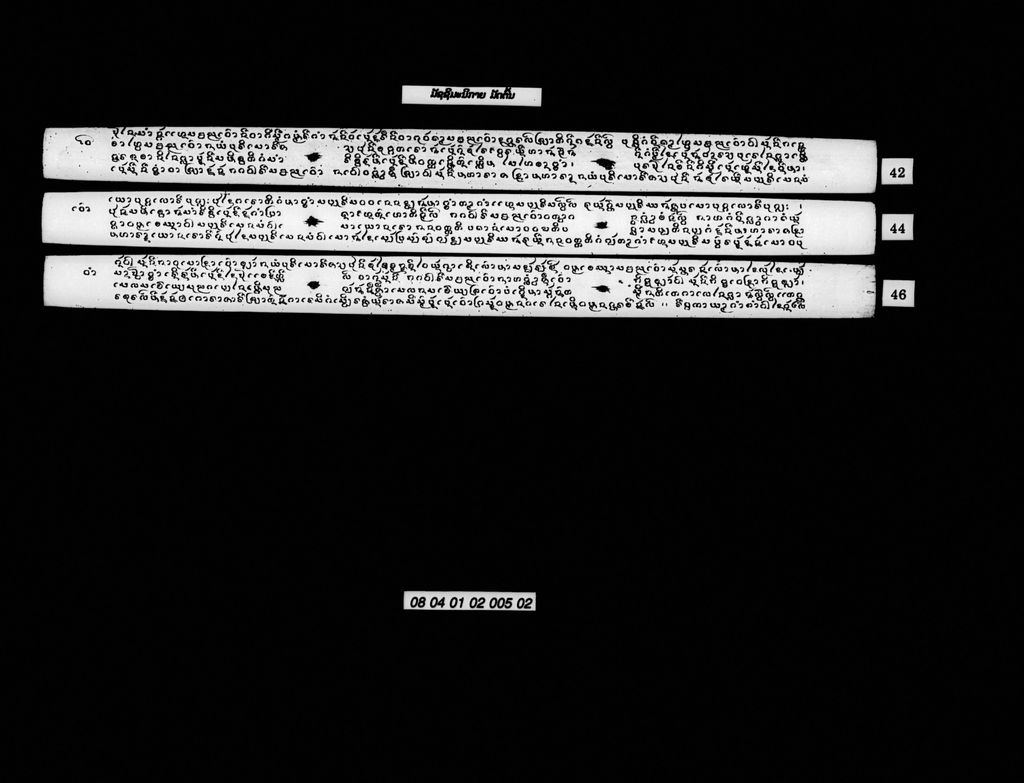 ມັຊຊິມະນິກາຍ (ມັດຕົ້ນ)