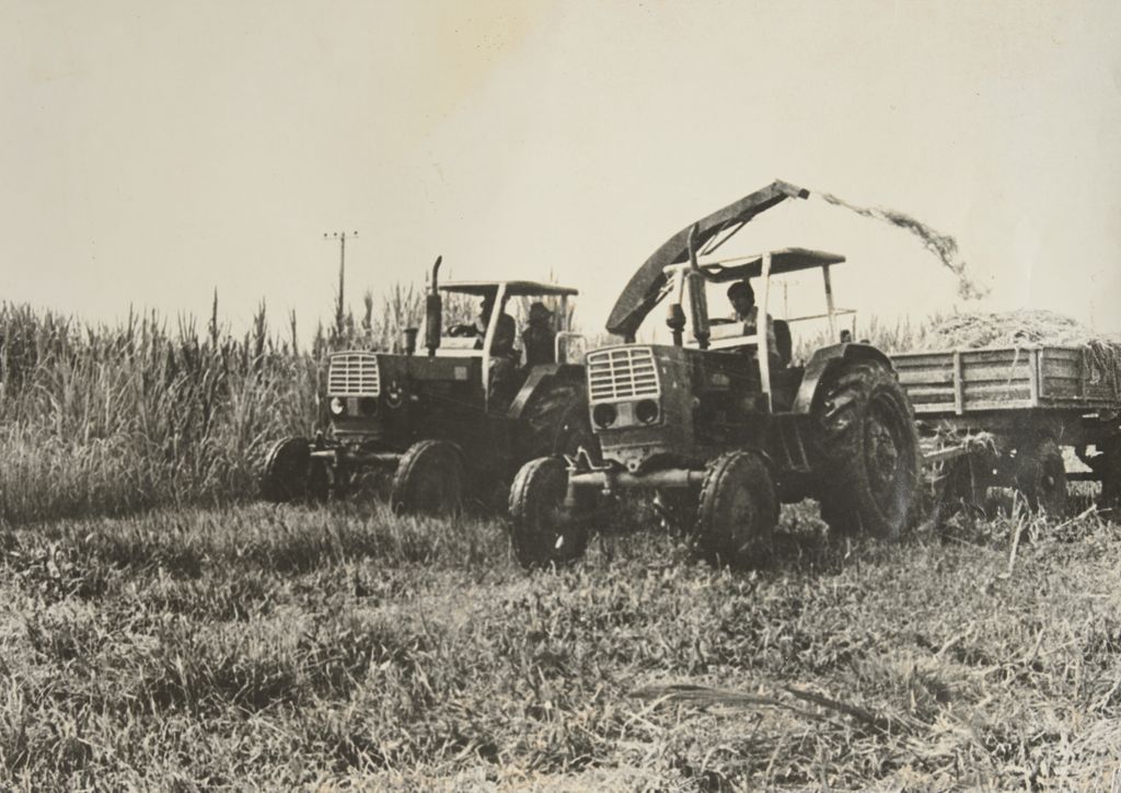 ລົດ​ແທັກ​ເຕີ້​ຕັດ​ຫຍ້າ