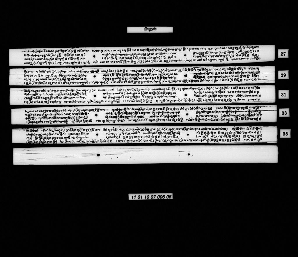 ນົກຍຸງຄຳ