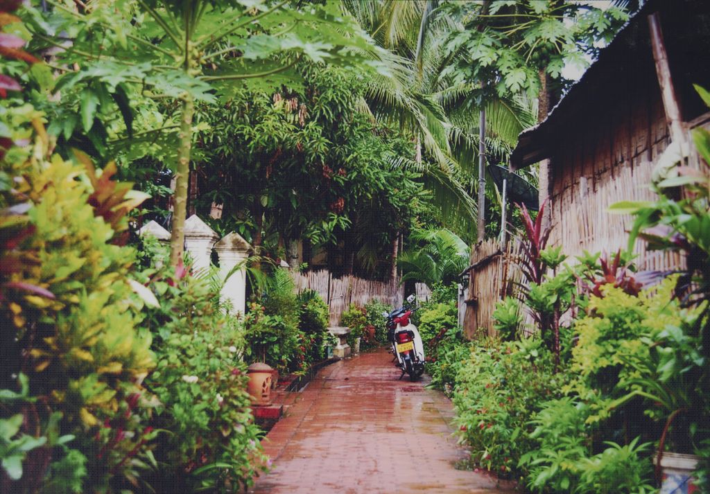 ເສັ້ນ​ທາງ​ຮ່ອມ ແຂວງ​ຫຼວງ​ພະ​ບາງ