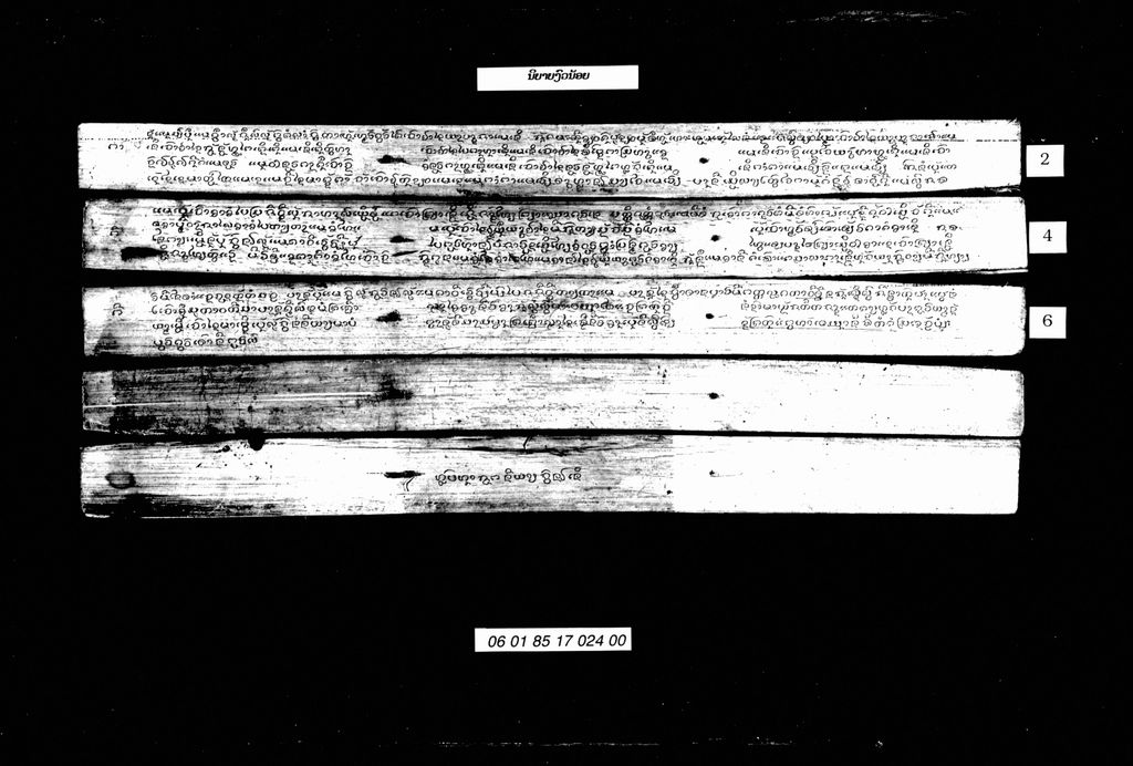 ນິຍາຍງົວນ້ອຍ