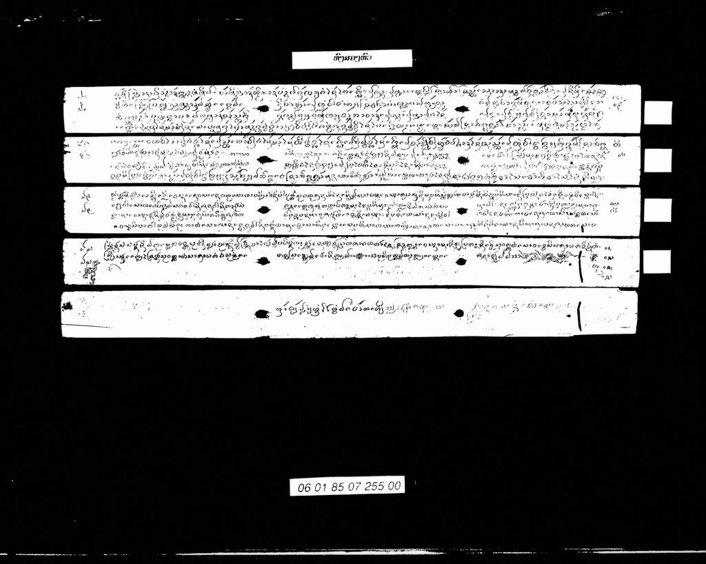 ຫົງສອງຫົວ