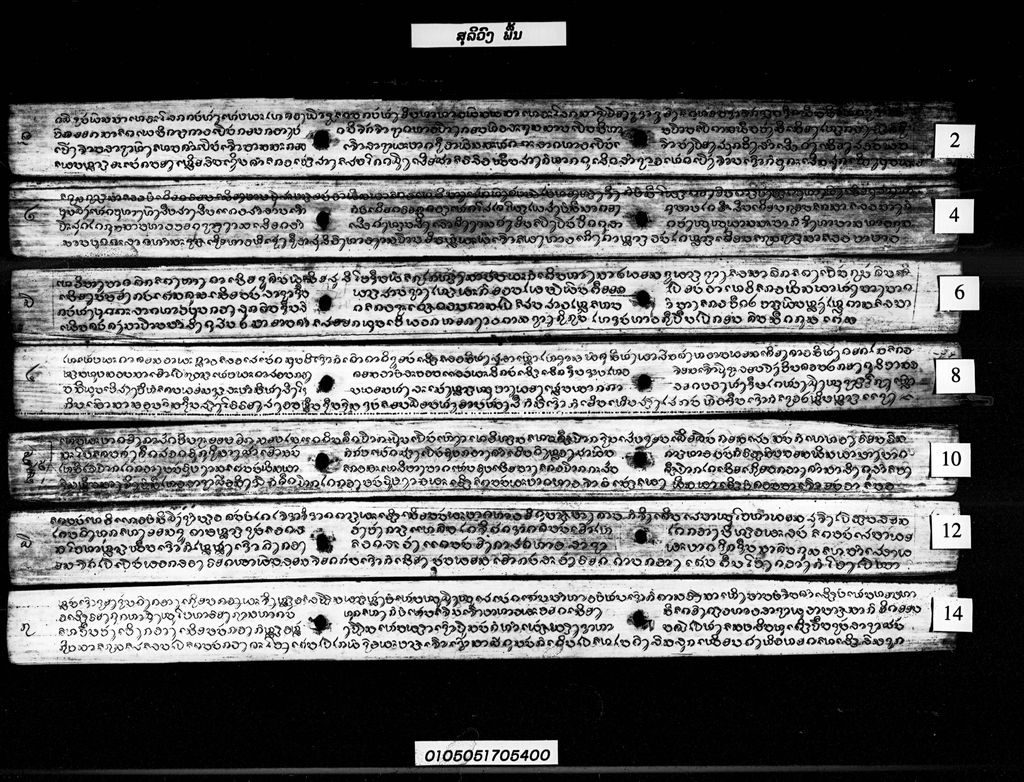 ສຸລິວົງ (ພື້ນ)