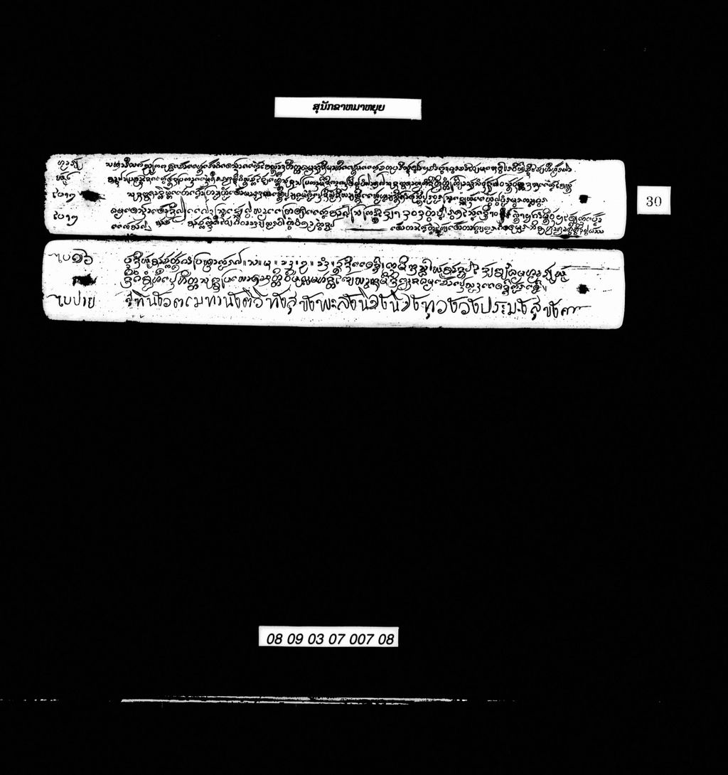 ສຸນັກຂາໝາຫຍຸຍ