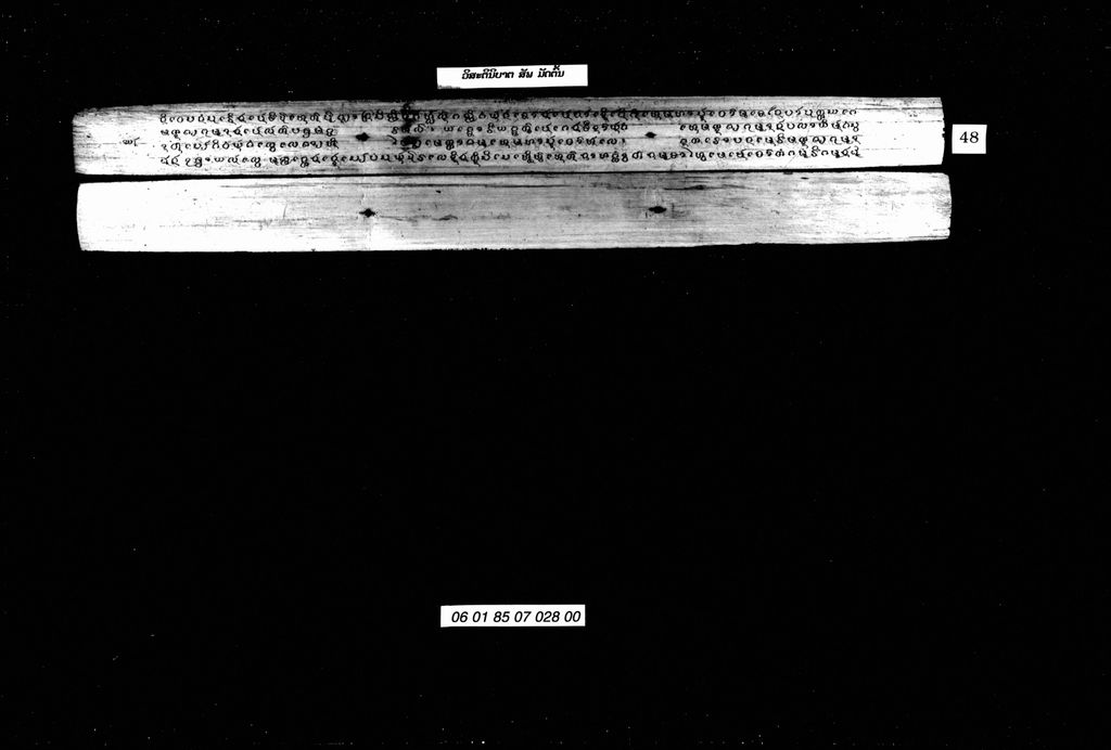 ວິລະຕິນິບາຕ,ສັພ ( ມັດຕົ້ນ )