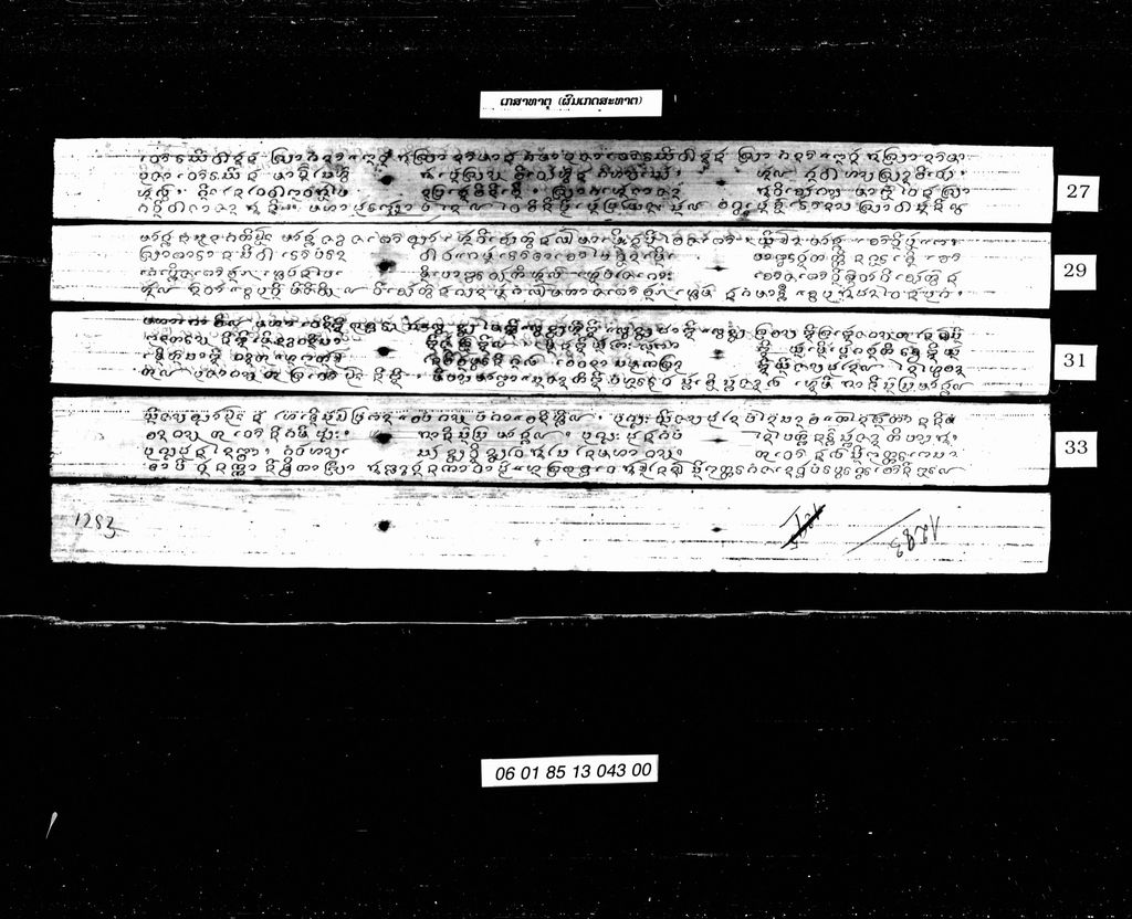 ເກສາທາຕຸ ( ຜົມເກດສະທາດ )