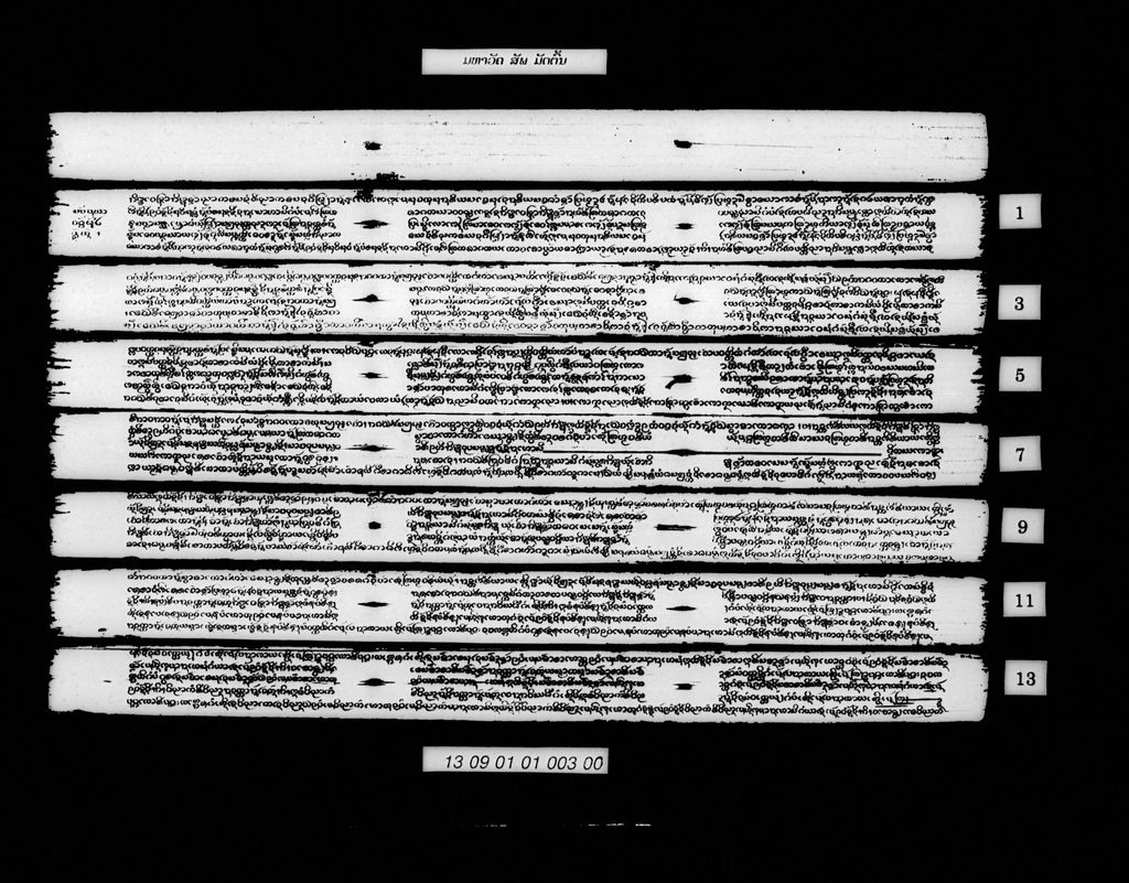 ມຫາວັຄ (ສັພ) ມັດຕົ້ນ