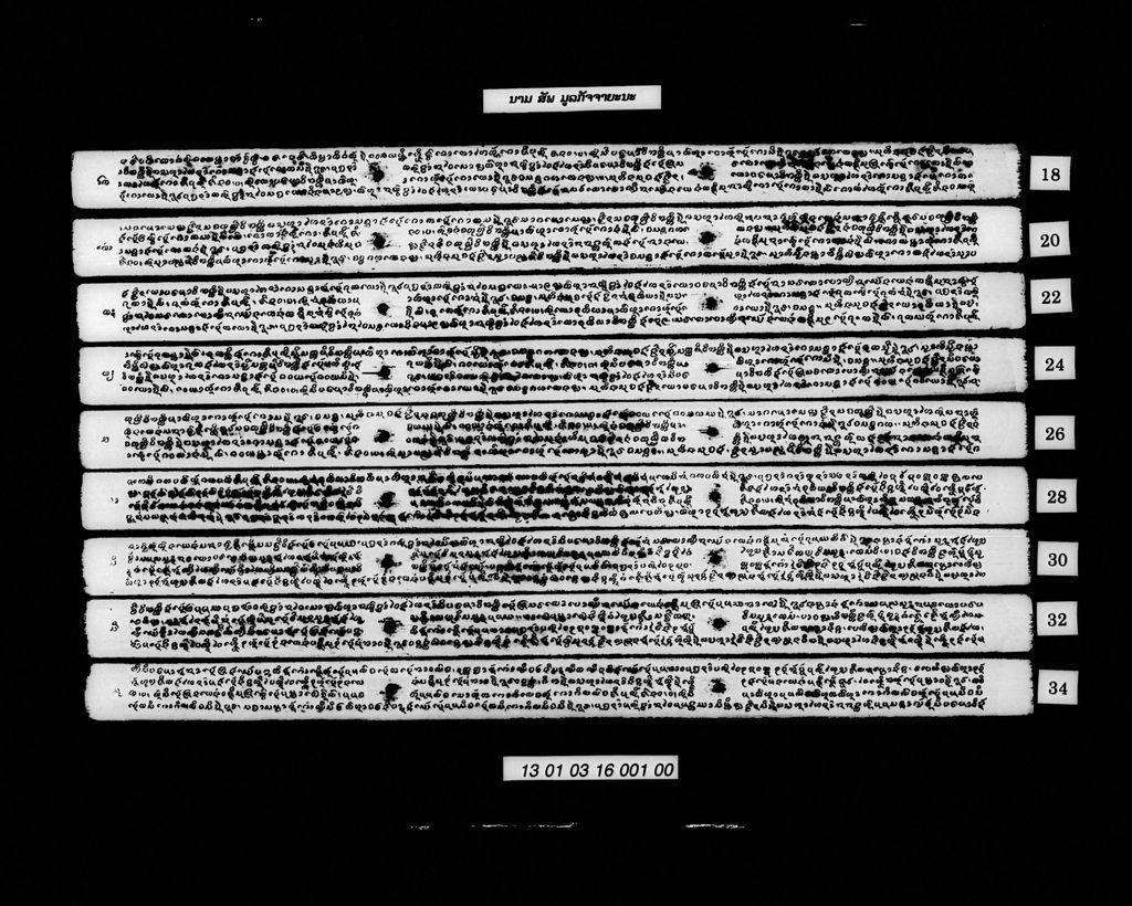 ນາມ(ສັພ) ມູລກັຈຈາຍະນະ