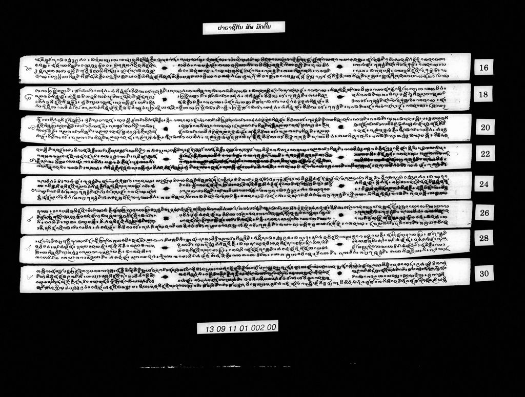 ປາຣາຊິກັນ (ສັພ) ມັດຕົ້ນ