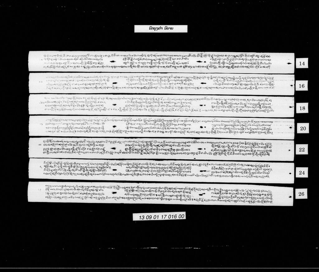 ນົກຍຸງຄຳ (ນິຍາຍ)