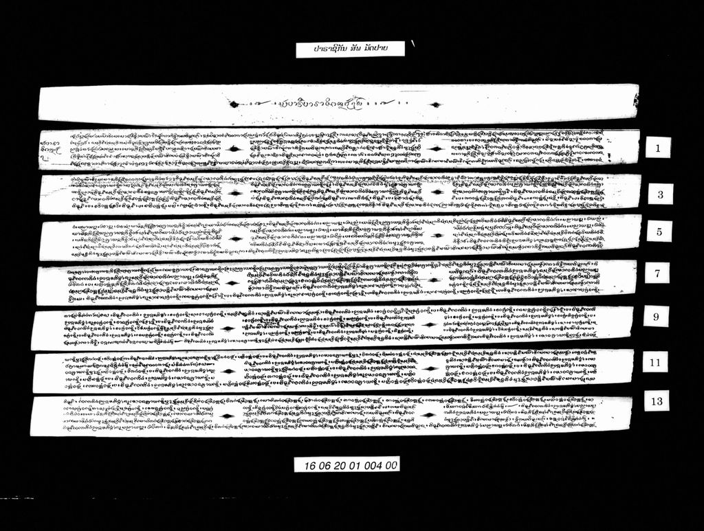 ປາຣາຊິກັນ (ສັພ) ມັດປາຍ