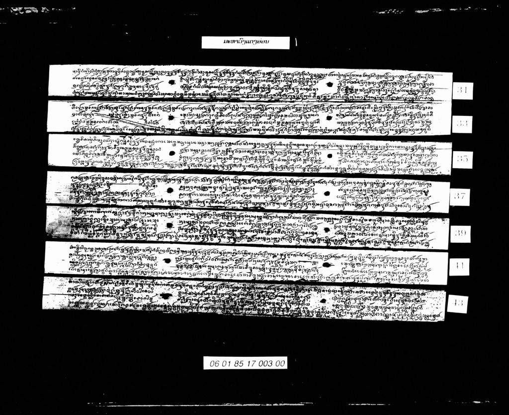 ມະຫາດົງແຕ່ງອ່ອນ