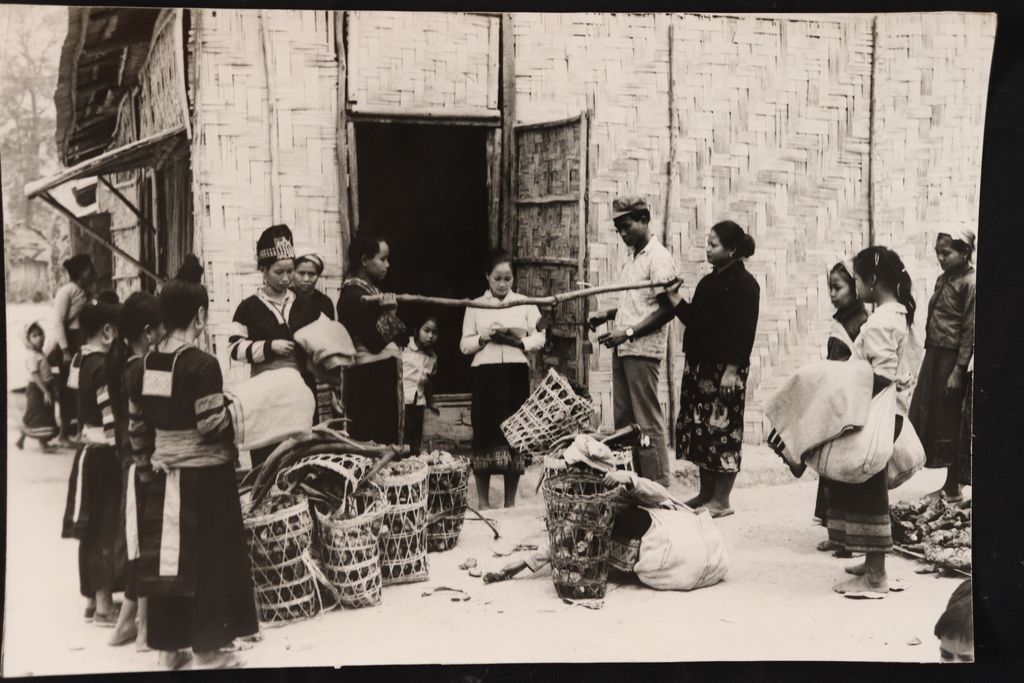 ການ​ເກັບ​ຊື້​ເຄື່ອງ​ປ່າ​ຂອງ​ດົງ