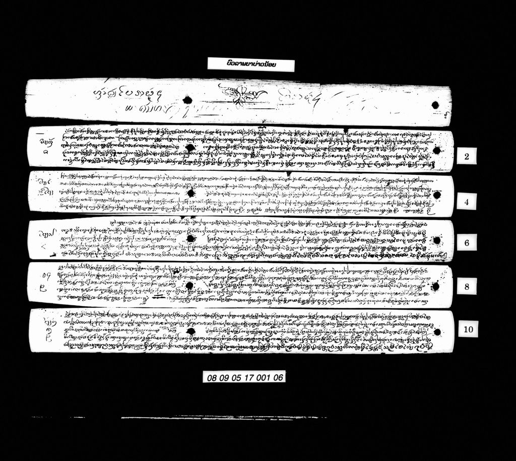 ບົວລາພຍາບ່າວນ້ອຍ