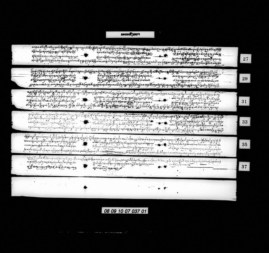 ພະລະສັງຂຍາ