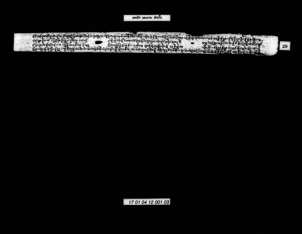 ພະລັກພະລາມ (ມັດຕົ້ນ)