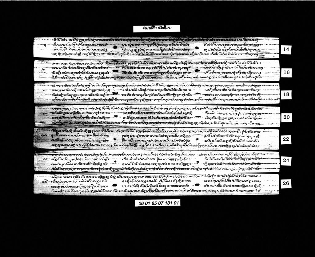 ຈໍາປາສີ່ຕົ້ນ ( ມັດຕົ້ນໜຶ່ງ )