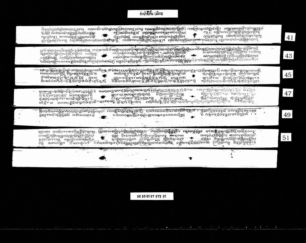 ຈຳປາສີ່ຕົ້ນ (ມັດ3)