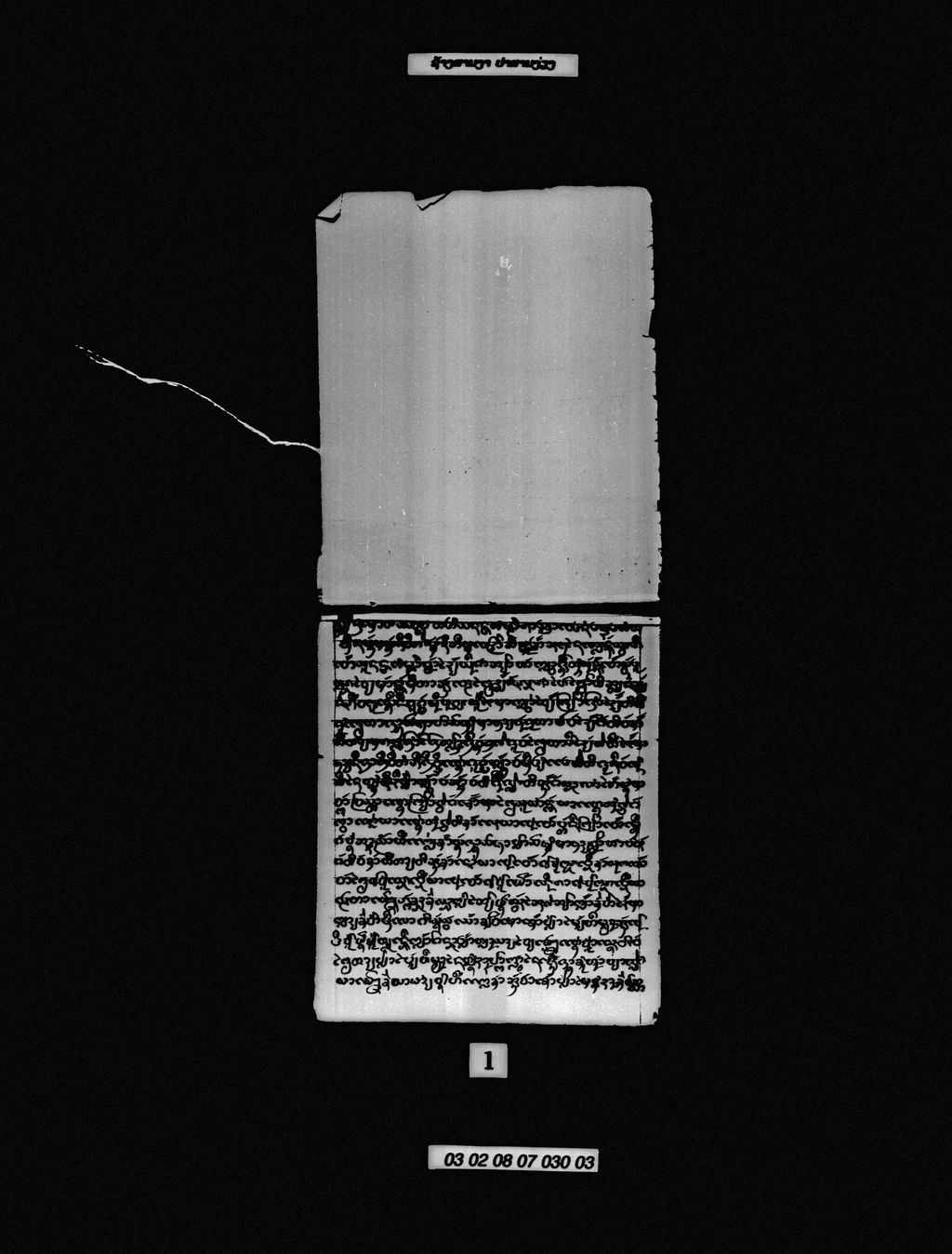 ຊ້າງສາມງາ ປາສາມງ່ຽງ