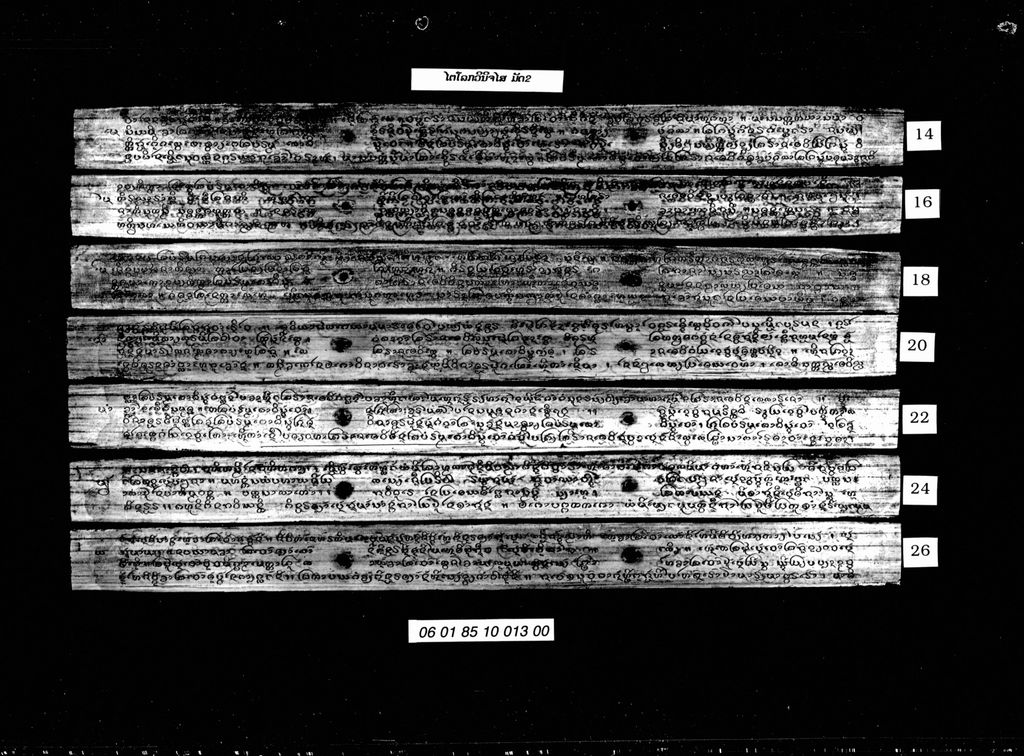 ໄຕໂລກວິນິຈໄສ ( ມັດສອງ )