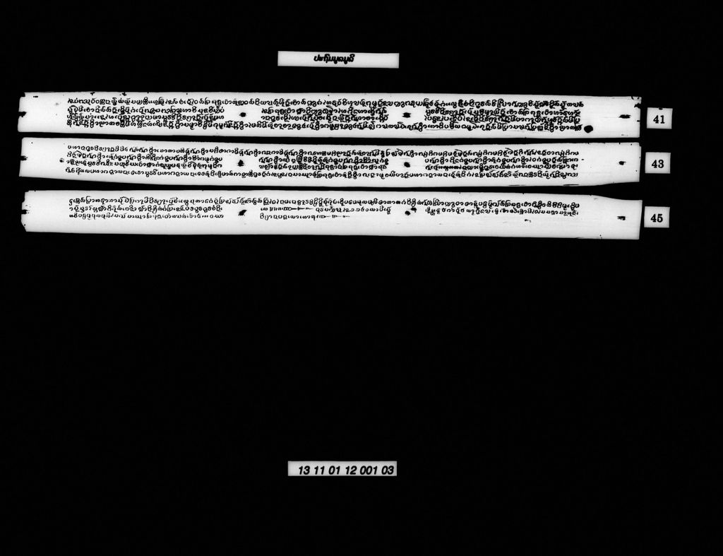 ປະຖົມມູລມູລີ