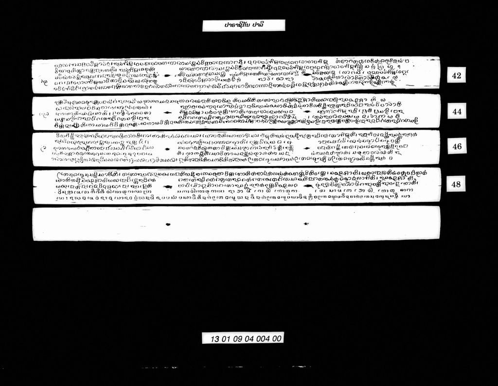 ປາຣາຊິກັນ (ປາລີ)