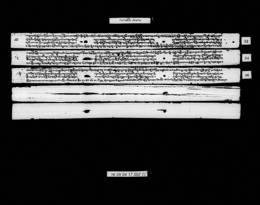 ຈຳປາສີ່ຕົ້ນ (ມັດປາຍ)