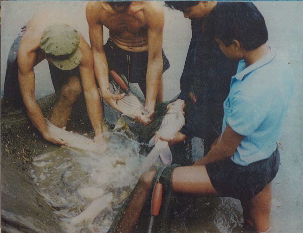 ສູນເພາະພັນປາ, ບ້ານໜອງແຕ່ງ