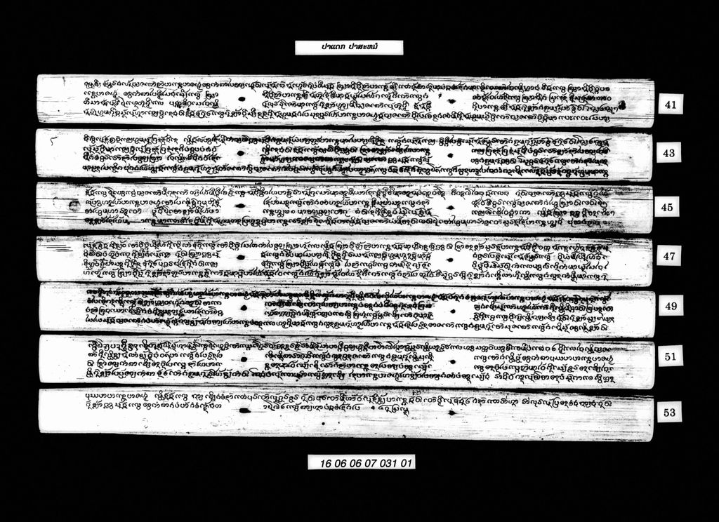 ປາແດກປາສະໝໍ