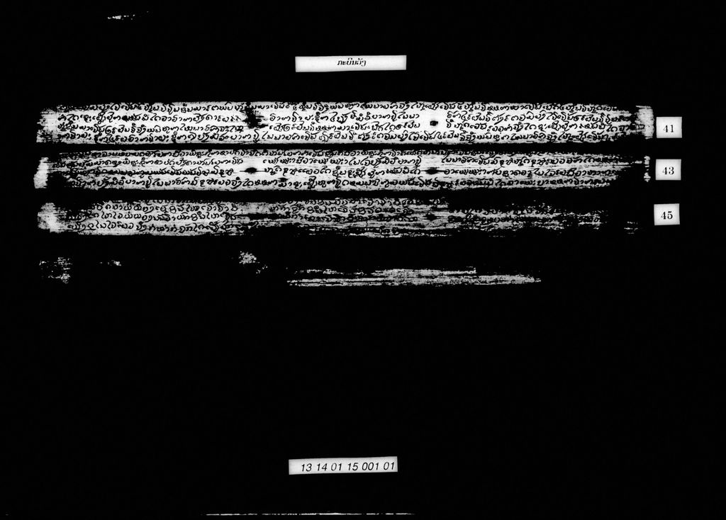 ກະບິນວັງ