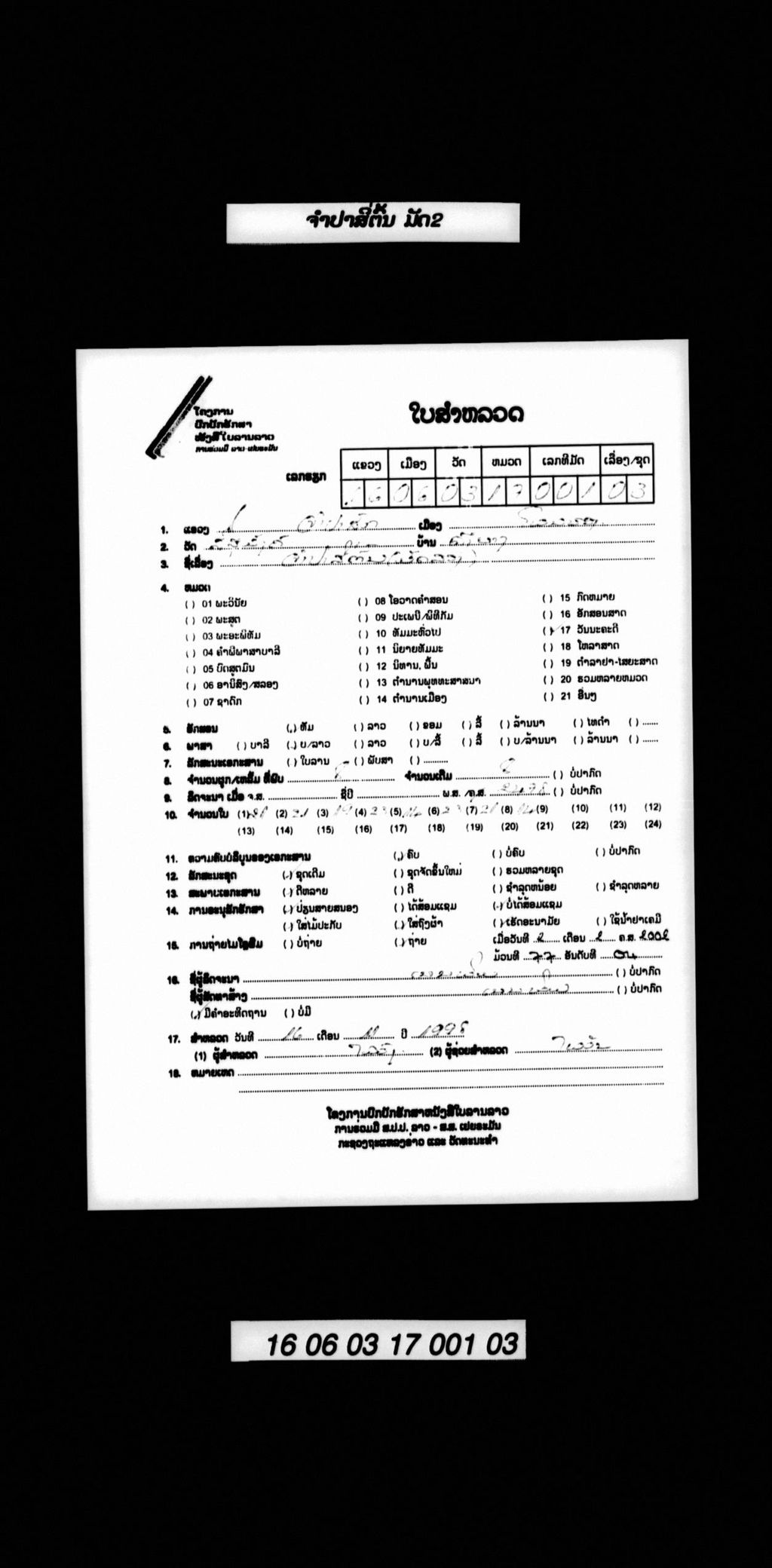 ຈຳປາສີ່ຕົ້ນ (ມັດ2)