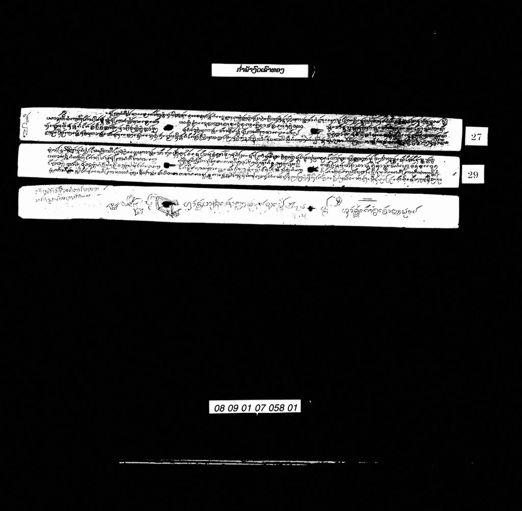 ກຳພ້າງົວເຂົາທອງ