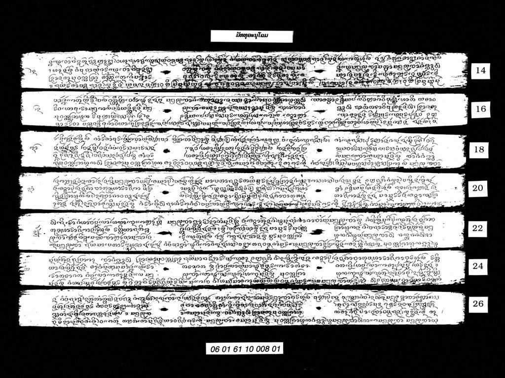 ມັທທຸອະນຸໂລມ