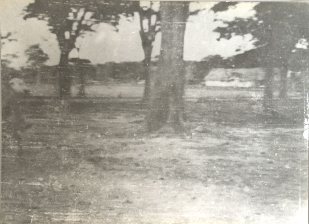 ຕົ້ນ​ໄມ້​ໃຫຍ່ ແລະ ອາ​ຄານ